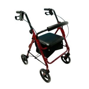 Lightweight Indoor/ Outdoor Walker