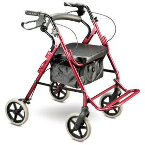 Trekker Duo 2 in 1 Seat Walker Burgundy