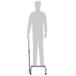 BASICS Step with Handrail