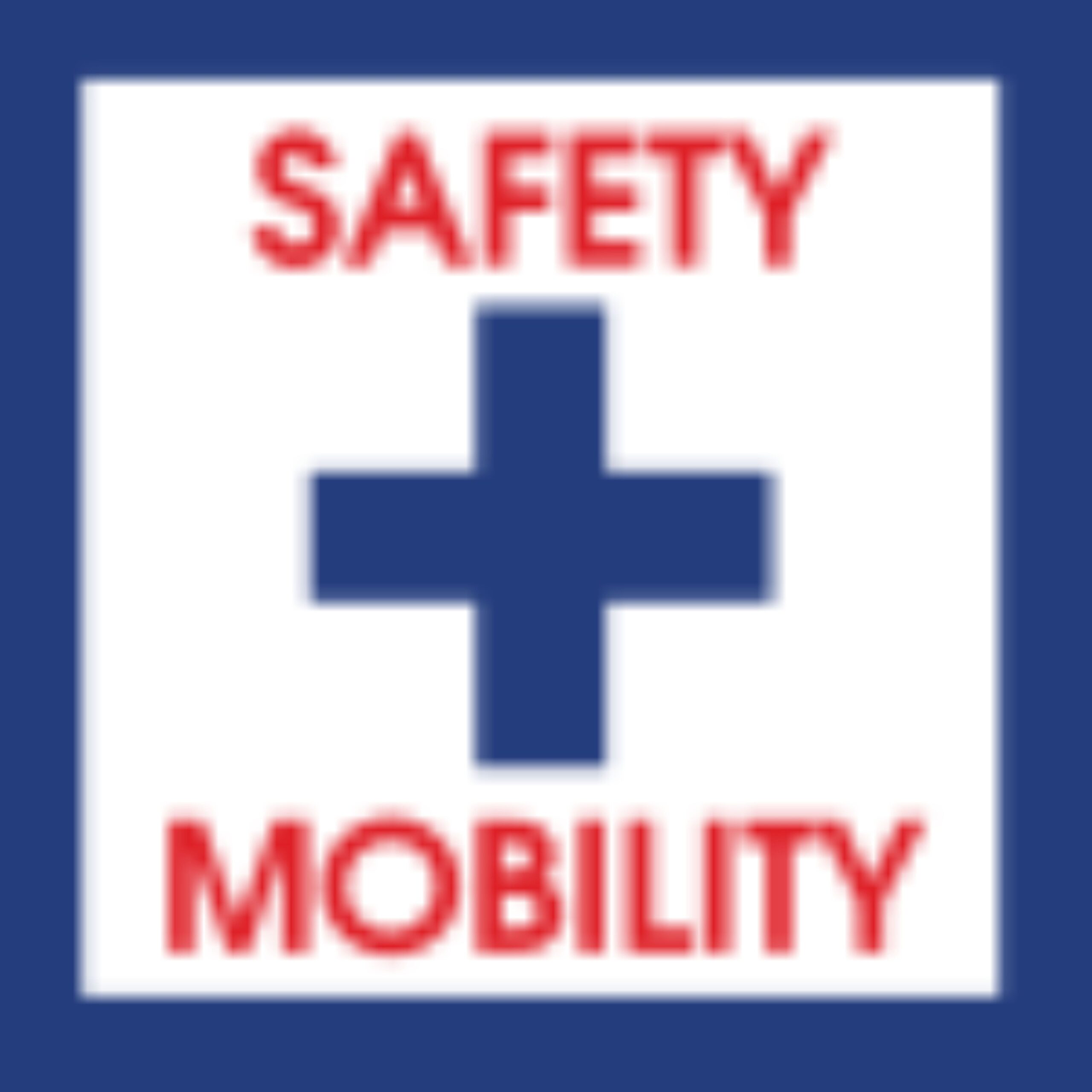 Safety & Mobility