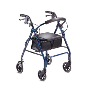 Explorer Seat Walker